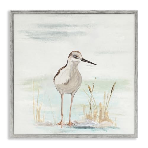 Sandpiper Bird Beach Grass Sprigs, 17 x 17 Inch Framed Giclée Print