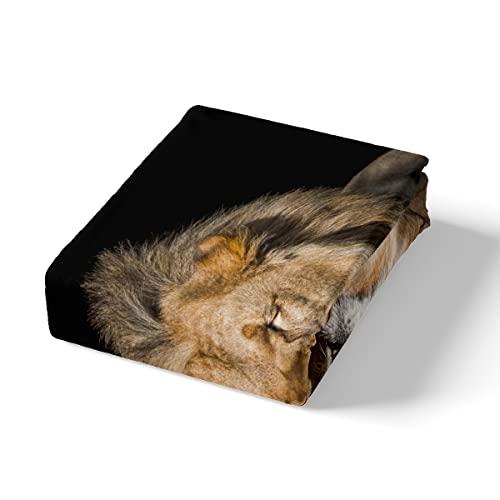 Homewish Lion Duvet Cover Set Wild Lion Couple Print Bedding Set 3Pcs For Kids Boys Teens 3D Animal Theme Comforter Cover African Wildlife Quilt Cover With 2 Pillowcases (No Comforter) King Size #TOP4