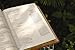 The Jesus Bible, ESV Edition, Leathersoft, Tan