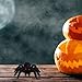Imagen de UTHCLO 4 Piezas Arañas de Realistas para Halloween Figuras de Broma y Decoración Espeluznante Juguetes de Miedo para Fiesta Temática y Aprendizaje Educativo