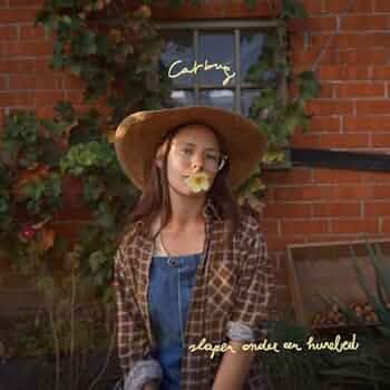 Catbug slapen onder een hunebed レコード LP Catbug「slapen onder een hunebed」：LPレコード | 音とこだま