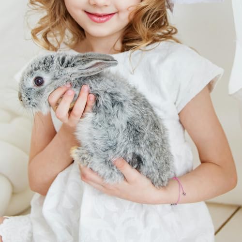 Easter Gifts for Girls Boys, 3 PCS Bunny Bracelets Friendship Pendant with Cards, Charm Jewelry for Kids Teens4