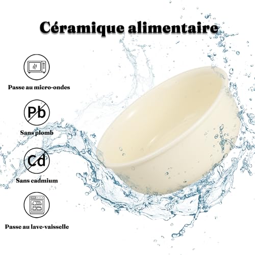 Gamelle chien surélevée céramique double beige 2x720ml