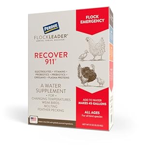 Recover 911, Severe Stress Probiotic Water Supplement for Chickens with Electrolytes, Prebiotics & Oregano, Molting, Extreme Weather, and Predator Attack Support, 8 oz
