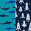 Rocket & Shark