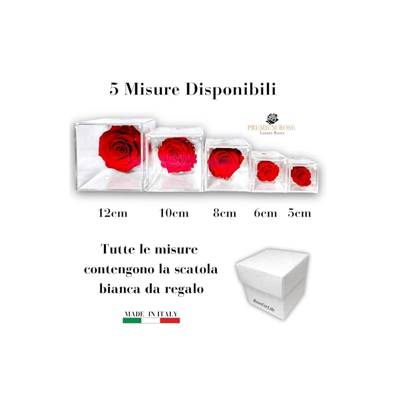 PREMIUM-ROSE-Cubo-Rosa-Stabilizzata-Blu-10-cm-con-Marmo-di-Carrara-Rosa-Eterna-Stabilizzata-Made-in-Italy-Idea-per-Bomboniere-Lauree-e-Battesimi-Blu-1011