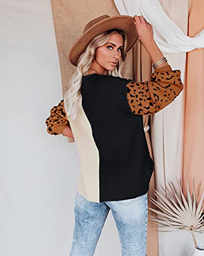Image of ANCAPELION Women's V Neck Sweater Pullover Leopard Long Sleeve Basic Color Block Jumper Casual Knitted Tops