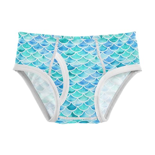 Blue Turquoise Mermaid Scales Toddler Boy's Underwear 2T 202c1898