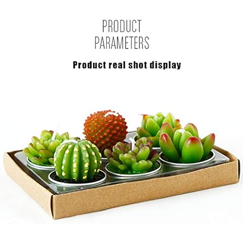 NANAOUS Velas de té de cactus especializadas Cover