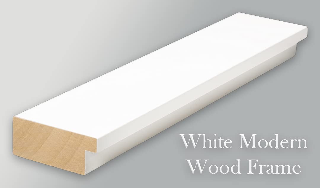 Amazon.com: ArtDirect Spring Thaw 18x12 White Modern Wood