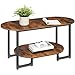 HOOBRO Coffee Table for Living Room, Oval Small Coffee Table with 2-Tier Open Storage Shelf, Industrial Cocktail Tea Table, Wooden Desktop Center Table, Farmhouse, Home Office, Rustic Brown BF09KF01