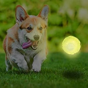 Nerfdogtennisballblasterdogtoywhite25inchglowreloadball Urban Country Home Decor Nerf dog tennis ball blaster dog toy white 25 inch glow reload ball urban country home decor