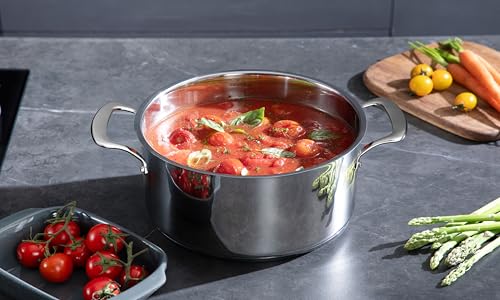 Image of 10 Pcs Stainless Steel Pots and Pan Sets for Various Cooking Needs | 5 Ply Clad, Compatible with All Cooktops, PTFE, PFAS and PFOA Free, Dishwasher Safe, Oven Safe Up to 800F