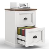 Halitaa Vertical File Cabinet, Filing Cabinet with 2 File Drawers, Farmhouse Small File Cabinet Fits Letter/A4 Size, Wooden Printer Stand, Under Desk Cabinets for Home Office, White