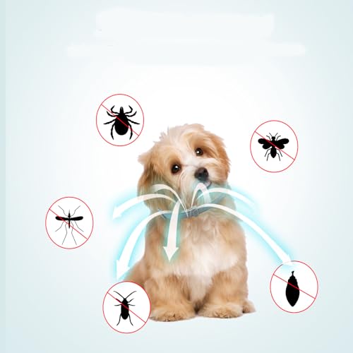 Zeckenhalsband für Hunde und Katzen Flohhalsband Antibellhalsband Katze – 100% Naturlatex – Wasserdicht & Verstellbar – Bis zu 8 Monate Schutz – Mückenabwehr & Flohschutz(Grau, 63,5 cm)