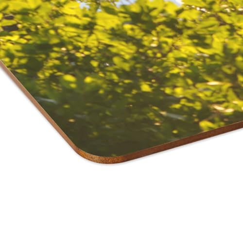 Sets de table liège lac canoë grand format 4 napperons de table souples pour protection - 4