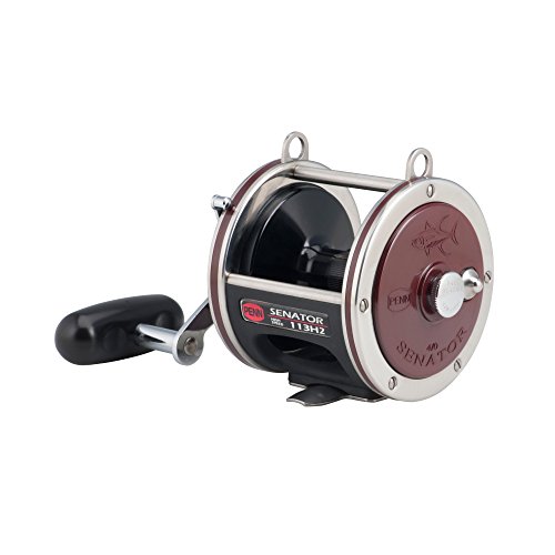 Image of Penn Special Senator Star Drag Conventional Fishing Reel