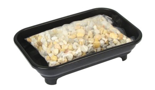 Eve's Garden Bonsai Humidity Drip Tray 4 Eve's Garden Bonsai Humidity Drip Tray 4
