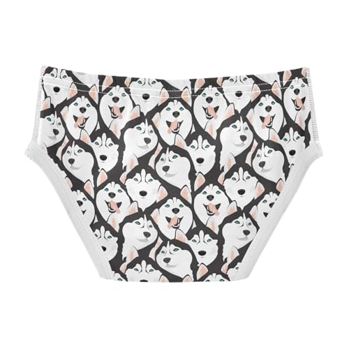 Little Boys Briefs Husky Dogs Soft Cotton Toddler Underwear in Sizes 2/3t, 4t, 5t, 6 and 82