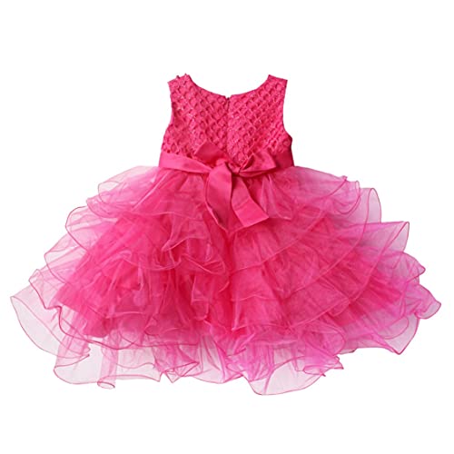 Jeatha Infant Flower Girls Dress Wedding Ball Gown Sleeveless Rhinestone Organza Tutu Princess Dress Partywear Rose 2 9-12 Months #TOP1