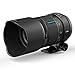 Irix 150 mm f/2.8 Macro 1: 1 lente libellula per Canon