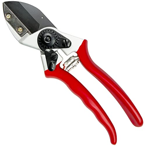 Darlac Expert Anvil Pruning Scissors – Garden Secatuers with a Large Cut Capacity and Slim Profile Handles – Razor Sharp - Anvil Design for Hard or Dead Wood - SK5 High Carbon Steel Blade, DP1035