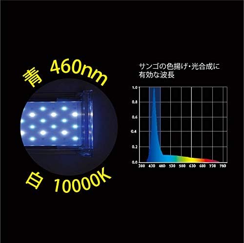 ゼンスイ ナノ レビル(nano LeviL) 海水水槽用 ブルーホワイト 900