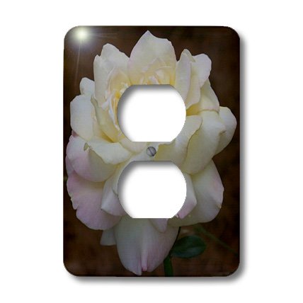 Cache 3dRose LSP_24910_6 jaune et rose brun pour plaque électrique - 3