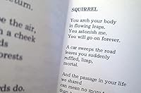 Finding the Name 0961215801 Book Cover