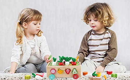 LIANLI Niños Montessori Juguetes educativos de madera para bebés Niños Niñas Edad 2 3 4 años Forma C