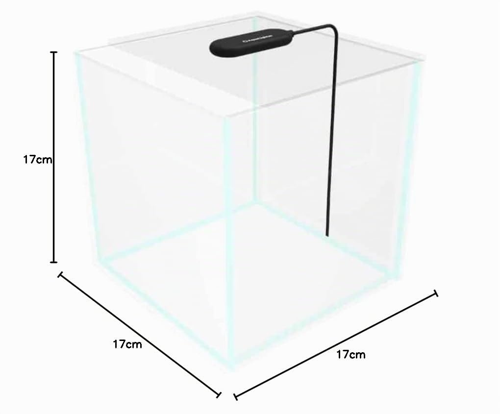 COLLAR AquaLighter LumiSet 5l - Nano-Aquarium mit Ultra-transparentem Glas mit leuchtenden Kanten - mit Abdeckscheibe, Unterlegmatte und LED-Beleuchtung