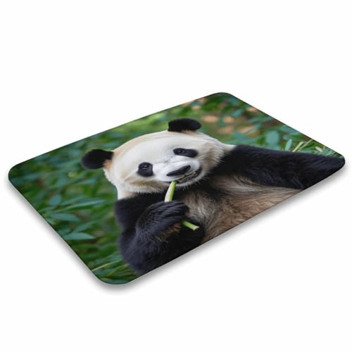 Alfombras de baño absorbentes y suaves de panda para suelos decorativos de ducha moderna 5