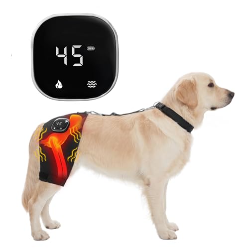 Dollephi Dog Hip Brace with Heat & Vibration Hip Support for Dogs Helps Hip Dysplasia & Arthritis Pain Relief Therapy Cordless Portable Design Patent PendingMale Dog XXL
