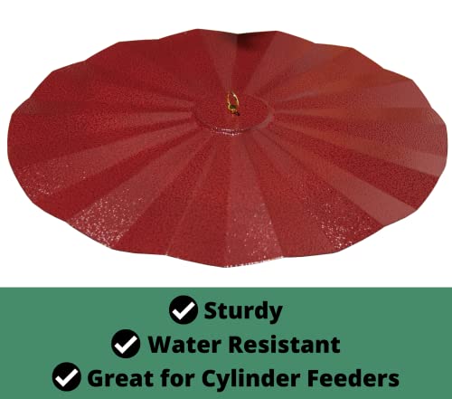 JCS Wildlife Metal Rain/Weather Guard - Perfect for Outdoor Bird Feeders, Seed Cylinders, Hummingbird Feeders, Cylinder Feeders and More Against Water, Sun, and Overhead Messes Rust Proof,