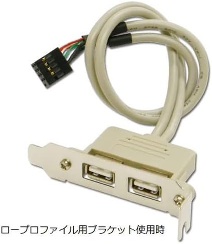 Ainex RS-002F USB Rear Slot, 2 Ports