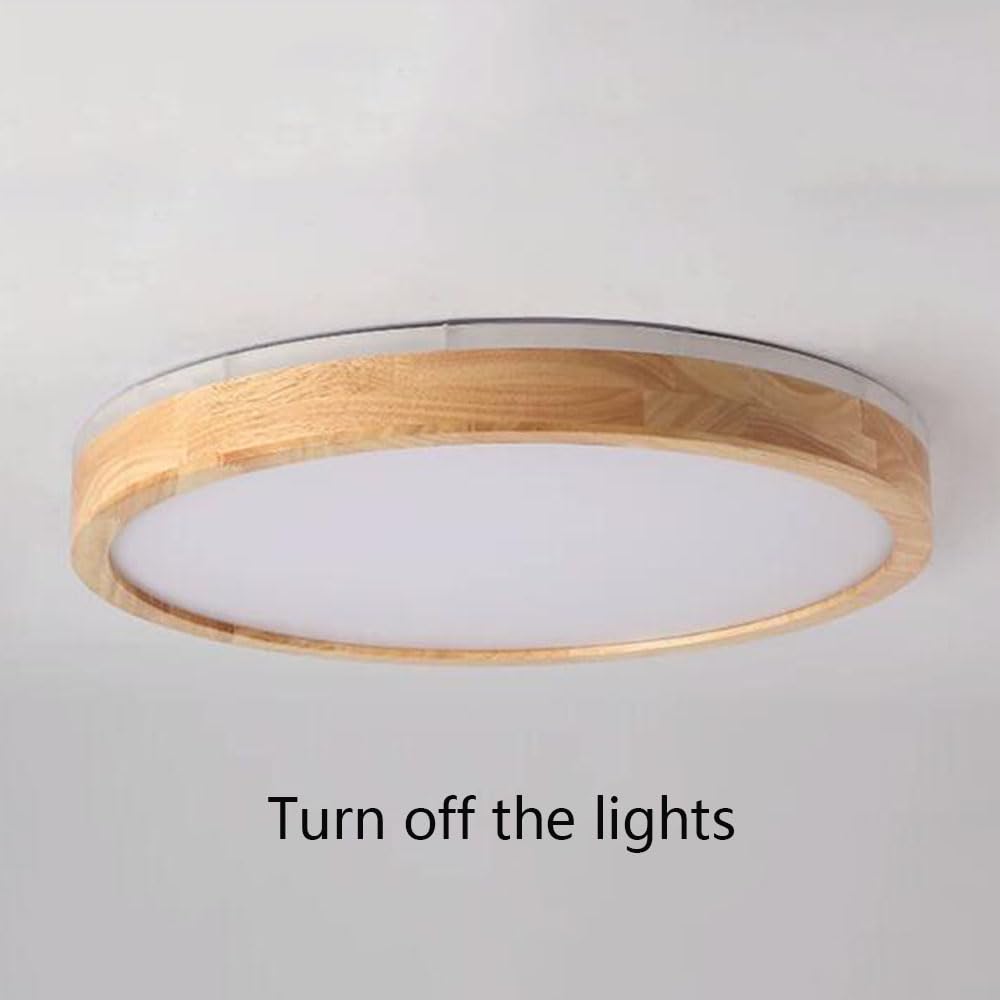 Lampada Da Soffitto Rotonda Moderna Luce Bianca Fredda 6000K - Apparecchio
