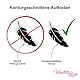 Wandtattoo Loft Wandsticker Kreise-Set, 40 Stück - Pastell Grün, Wandtattoo Kinderzimmer Deko, Wandsticker Kinderzimmer, Wand Aufkleber Kinder, Punkte Wandtattoo, Babyzimmer Deko, Kinderzimmerdeko