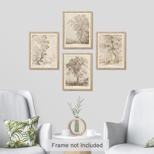 SIGNWIN Poster Vintage Landscape Sketch Prints by 16th-Century Antique Tree Wilderness Nature Illustrations Fine Art Decorative Country/Farmhouse Vintage for Living Room, Bedroom, Office - 11"x14"x4