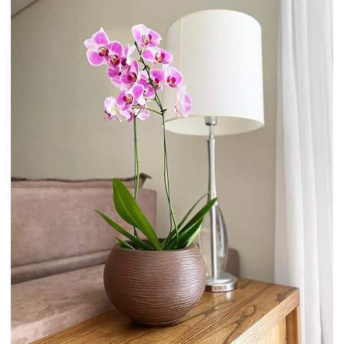Floridis Florence Planter Brown Stone Effect 7.48 inches high x 10.62 inch diameter