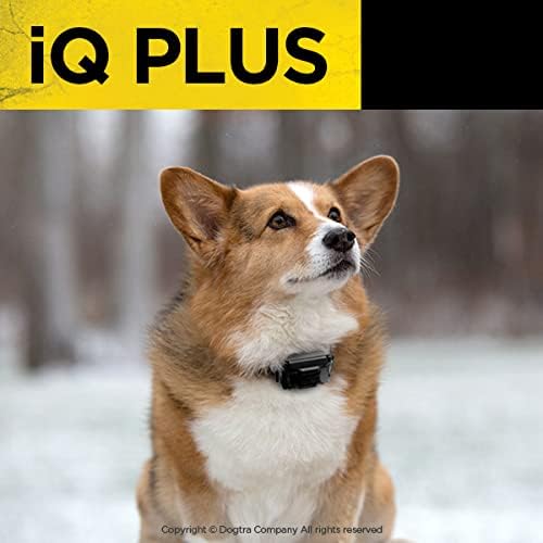 Dogtra iQ Plus Additional Receiver Rechargeable Waterproof 400-Yard Remote Dog Training E-Collar