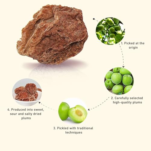 SXETBEAN Dried Plums, 200g/7oz Salty, Sour and Sweet Dried Plum (Sour and Salty)