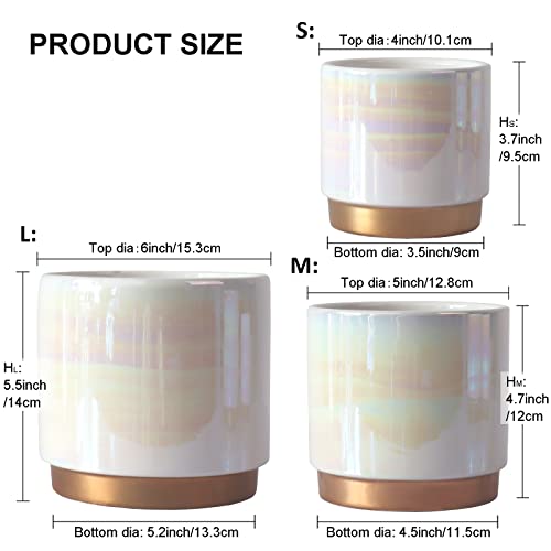 Gepege White Indoor Pots For Plants, Ceramic Planter With Drainage Hole, 6.0 Inch+5.0 Inch+4.0 Inch. Succulent Orchid Flower Pot - Rainbow Pearl Glaze #TOP1