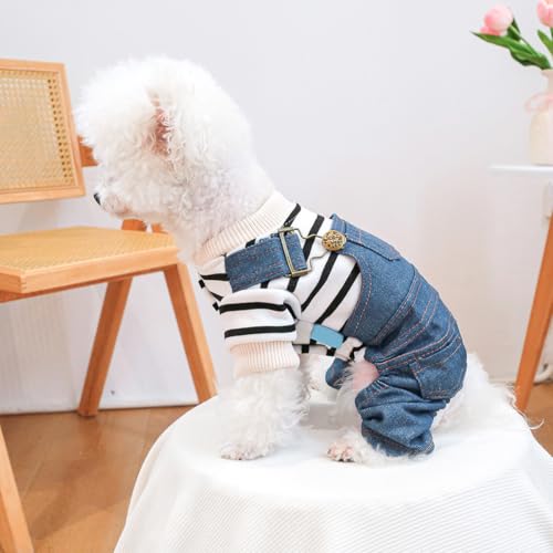 Peto vaquero para perros pequeños color denim miniatura 3
