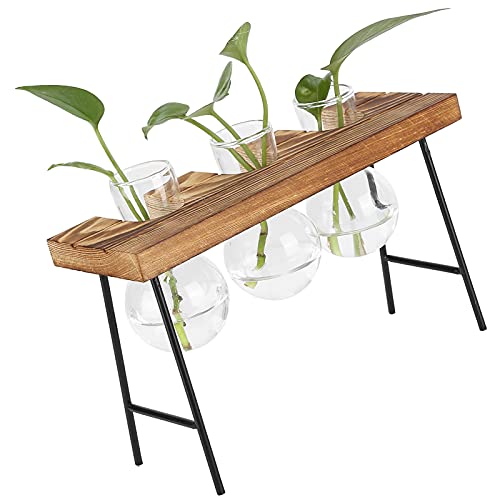 Vaso de mesa, vaso de plantador de vidro Boa permeabilidade ao ar para escritório para planta de hid