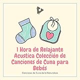  Shoo mosca no me molestes con suaves sonidos de lluvia (Marimba Instrumental)