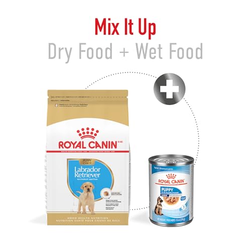 ROYAL CANIN Breed Health Nutrition Labrador Retriever Puppy Dry Dog Food, 30-Pound by Royal Canin
