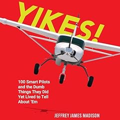 YIKES! Audiolibro Por Jeffrey James Madison arte de portada