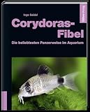 Dähne Verlag