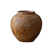 Nettoyez régulièrement les taches sur la paroi extérieure du vase et l'eau, poncez sur la paroi intérieure. Évitez d'utiliser des objets durs tels que des morceaux de fil pour éviter de rayer la surface du vase.