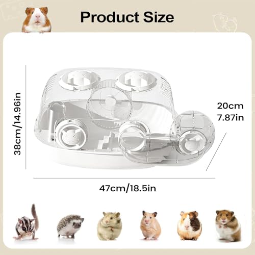 Cage pour hamster nain et gerbille | Habitat transparent à 2 niveaux avec tunnel